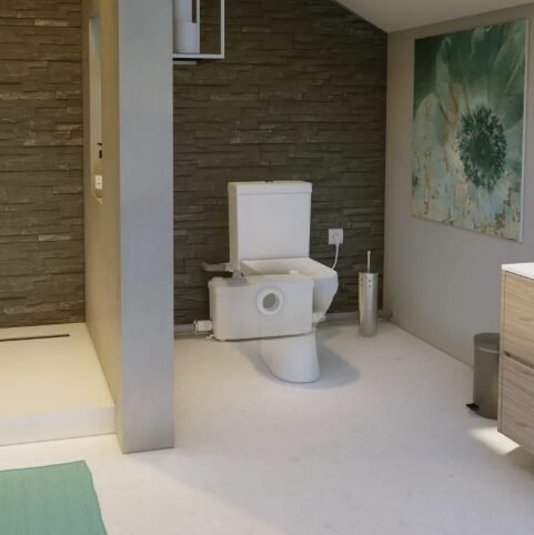 remplacement sanibroyeur Nice wc broyeur sans évacuation